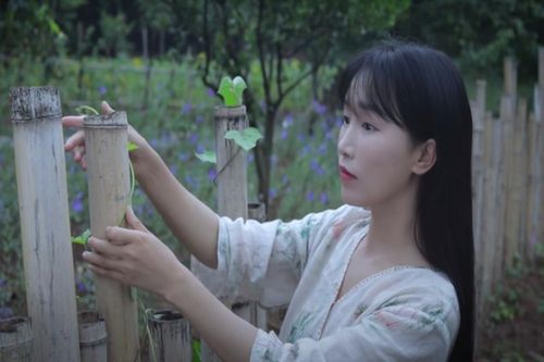 'Mai danh ẩn tích', tiên nữ đồng quê Lý Tử Thất mất những gì?