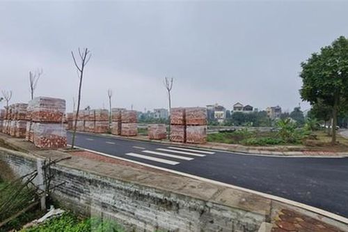 Liên tiếp phát hiện sai phạm trong đấu giá quyền sử dụng đất: Cách nào bịt lỗ hổng?