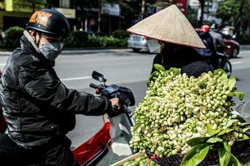 Những gánh hoa bưởi ngát hương 'chở mùa' xuống phố phường Hà Nội