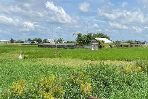 Làm rõ chức năng sử dụng đất sau khi xóa treo 3 khu công nghiệp 'khủng'