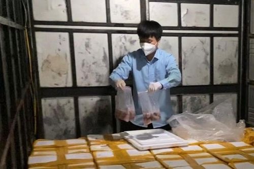 Gần 2.000kg cá khoai ngậm phoóc-môn 'sa lưới' khi đang bán đến tay người tiêu dùng