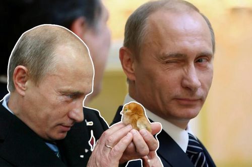 Một bộ mặt khác ít ai biết về Tổng thống Nga Putin bên cạnh vẻ ngoài quyền lực