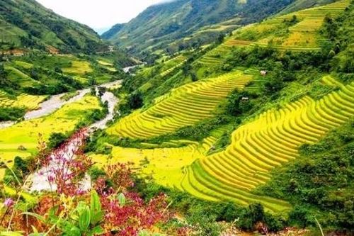 Điểm danh ruộng bậc thang ở châu Á 'hút hồn' khách du lịch