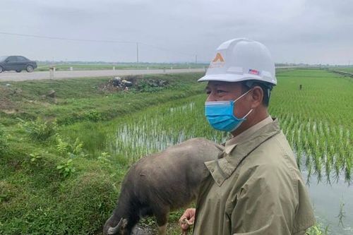 Thu hồi ruộng lúa đền bù cho dân mức thấp, đưa ra đấu giá gần 5 tỷ
