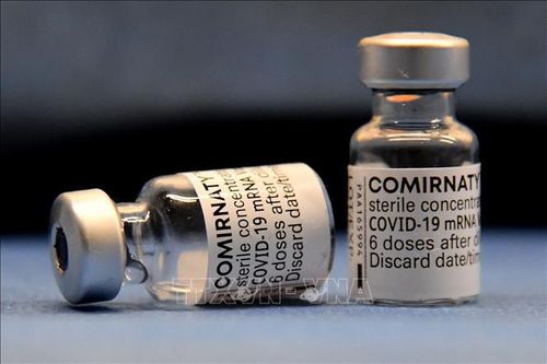 EMA phê duyệt vaccine của Pfizer để tiêm tăng cường cho người trên 12 tuổi