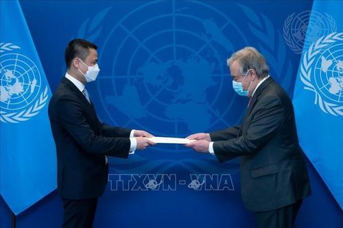 Tổng Thư ký Antonio Guterres: Việt Nam là đối tác tin cậy vững chắc của Liên hợp quốc