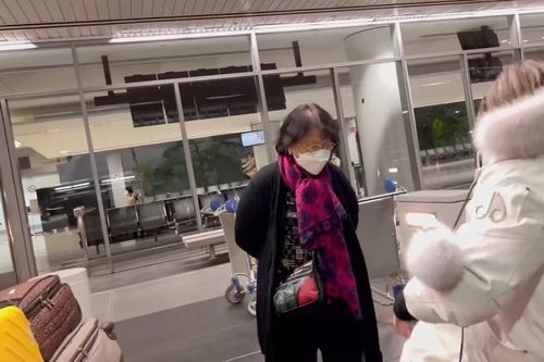 Đan Trường đưa mẹ ruột sang Mỹ thăm cháu nội, mối quan hệ mẹ chồng và nàng dâu cũ gây chú ý