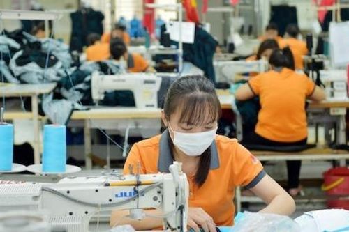 Giải pháp nào để tận dụng tốt hơn cơ hội từ EVFTA?