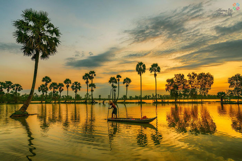 Khung cảnh thơ mộng của những hàng thốt nốt tuyệt đẹp chỉ có ở An Giang