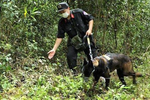 100 cảnh sát truy bắt nghi phạm đoạt mạng bố
