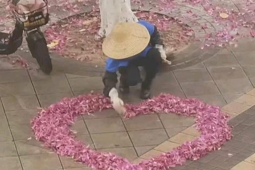 Thấy sân trường cánh hoa rụng đầy, cô lao công liền có hành động khiến ai cũng xuýt xoa