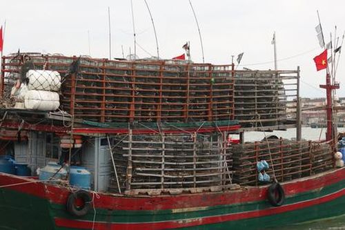 Tàu cá tại Quảng Bình nằm bờ dài ngày do dịch bệnh và giá xăng dầu tặng mạnh