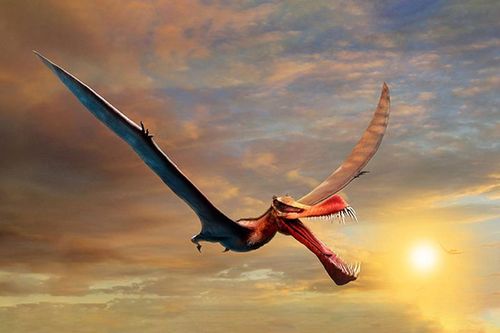 Đị dạo trên biển, thất kinh đụng độ quái vật 170 triệu tuổi