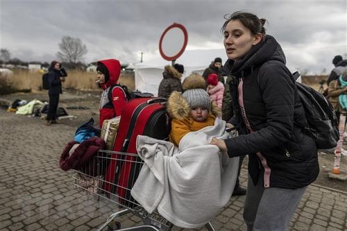 EU lên kế hoạch cấp phép tạm trú cho người Ukraine tới 3 năm