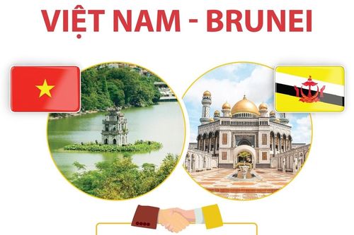 Quan hệ Đối tác Toàn diện Việt Nam - Brunei