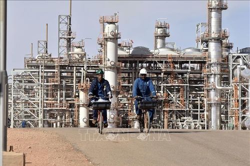 Algeria sẵn sàng cung cấp thêm khí đốt cho EU