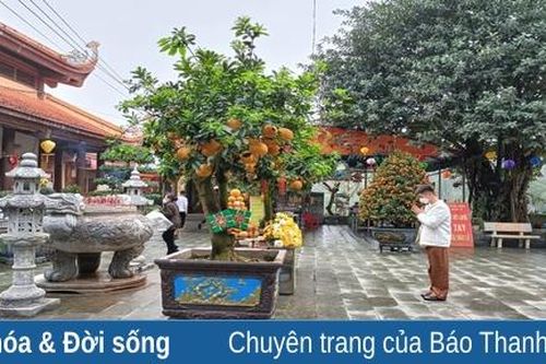 Mùa xuân thăm đền Hàn Sơn và đền Cô Bơ