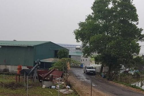Hải Dương khẳng định chưa cấp phép cho Công ty Môi trường xanh HD sản xuất phân bón