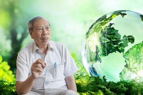 Cơ sở khoa học nào để điều chỉnh thuế Bảo vệ môi trường khi xăng tăng giá?
