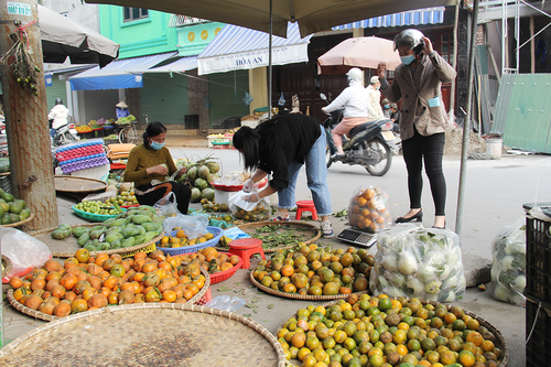 Đắt hàng mùa dịch, giá cam quýt 'nhảy múa'