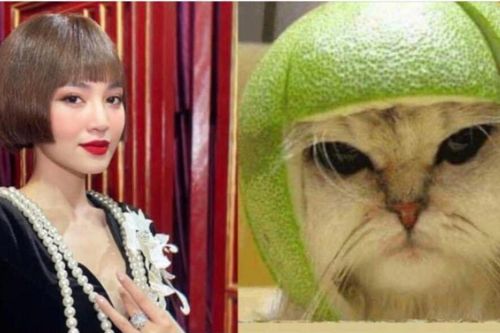 Lan Ngọc chia sẻ kỷ niệm nhưng ai nấy đều phải 'phì cười'