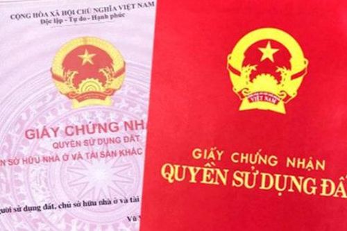 Hà Nội: Xin tiền mua đất ảo, 'dâu thảo' lừa đảo bố mẹ chồng
