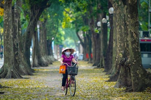 'Phố Sấu' Hà Nội