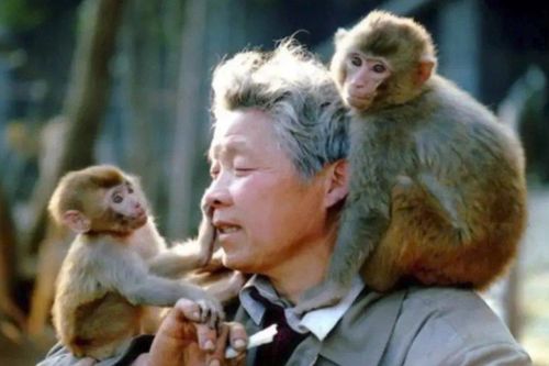Vườn thú cô quạnh nhất thế giới