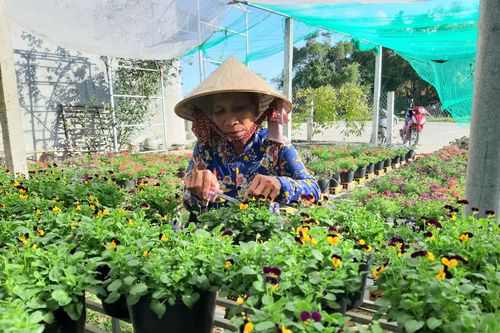 Huyện nông thôn mới hướng đến không gian đô thị xanh