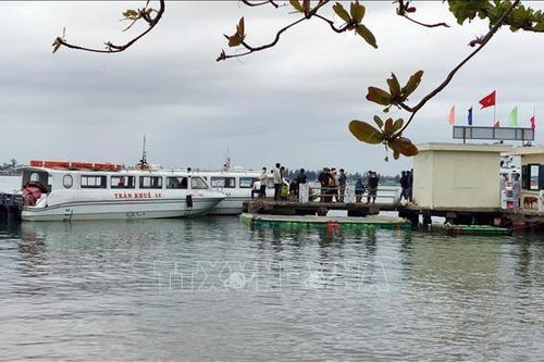 Thanh tra toàn diện hoạt động vận tải đường bộ, đường thủy nội địa