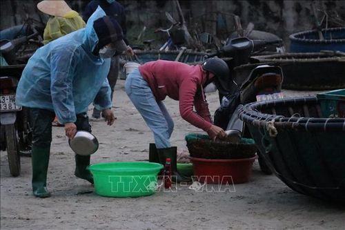 Đà Nẵng: Phát hiện vụ đổ chất lỏng màu đỏ vào ruốc