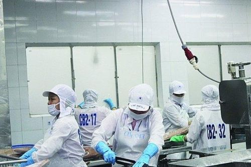 Ba kiến nghị VASEP gửi Thủ tướng Chính phủ và Bộ TN&MT