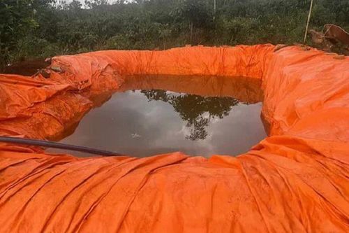 Qua nhà hàng xóm chơi, 2 chị em ruột tử vong dưới hồ nước tự tạo