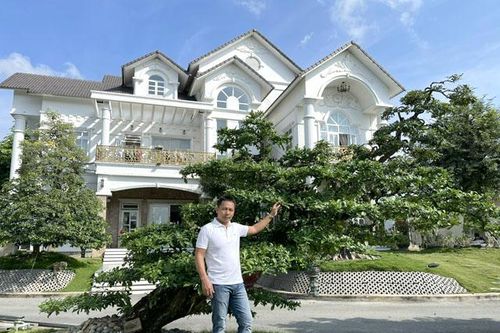 Cây đào tiên dáng rồng đạt kỷ lục Việt Nam