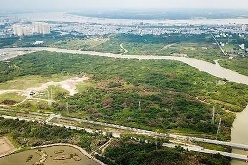 Tiếp tục xem xét trách nhiệm Tổng giám đốc Quốc Cường Gia Lai trong vụ 32ha đất công Phước Kiển