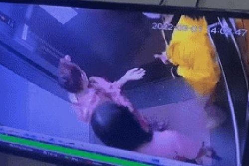 Người phụ nữ dùng chân làm 1 việc trong thang máy, xem camera toàn bộ cư dân nổi đóa