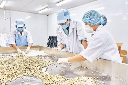Lấy lại đà tăng trưởng kinh tế thành phố