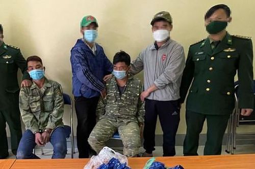 Hai anh em ruột giả người đi tìm cây phong lan để mua ma túy