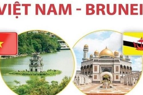 Việt Nam-Brunei: Hợp tác toàn diện, tin cậy lâu dài, hướng tới tương lai