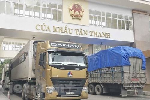 Hải quan: Chưa có dấu hiệu bảo kê xếp 'lốt' xuất khẩu nông sản