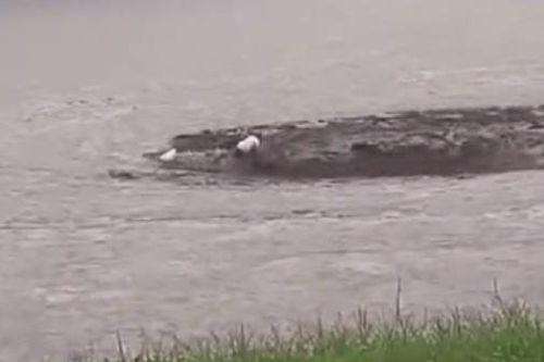 'Cổng địa ngục' xuất hiện giữa biển nước lũ tại Australia