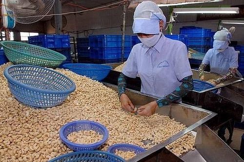 Chiến sự Nga – Ukraine tác động tiêu cực tới xuất khẩu nông sản Việt