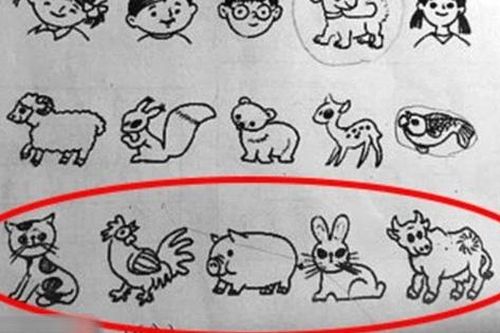 Câu hỏi lớp 1: 'Con nào khác biệt Mèo - Gà - Lợn - Thỏ - Trâu?', cô giáo đưa ra 1 đáp án cùng lời giải thích gây choáng váng