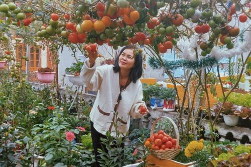 Vườn sân thượng ngập rau trái, không tốn nhiều tiền đầu tư ở Hải Phòng
