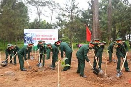 Tổ chức phát động Tết trồng cây 'Đời đời nhớ ơn Bác Hồ'