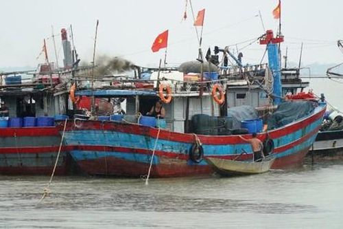 Giá xăng dầu liên tục tăng, ngư dân vươn khơi 'lấy ngày' rồi nằm bờ