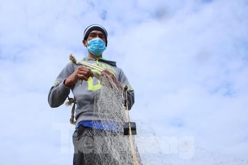 Giăng lưới kéo cả tấn cá gần bờ, ngư dân kiếm tiền triệu mỗi ngày