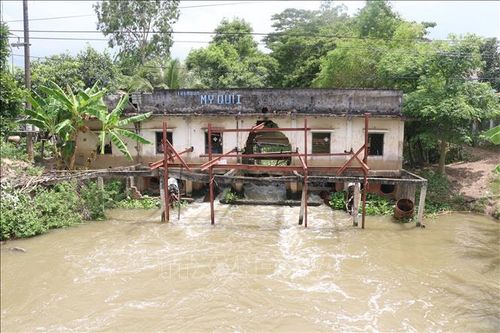 Đồng Tháp: Đảm bảo đủ nước cho 216.200 ha cây trồng chống hạn, mặn