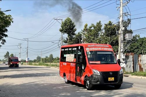 An Giang: Đưa vào hoạt động 15 tuyến xe buýt tiêu chuẩn châu Âu