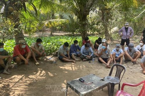 Bến Tre: Triệt xóa tụ điểm đá gà ăn tiền, thu giữ hơn 300 triệu đồng